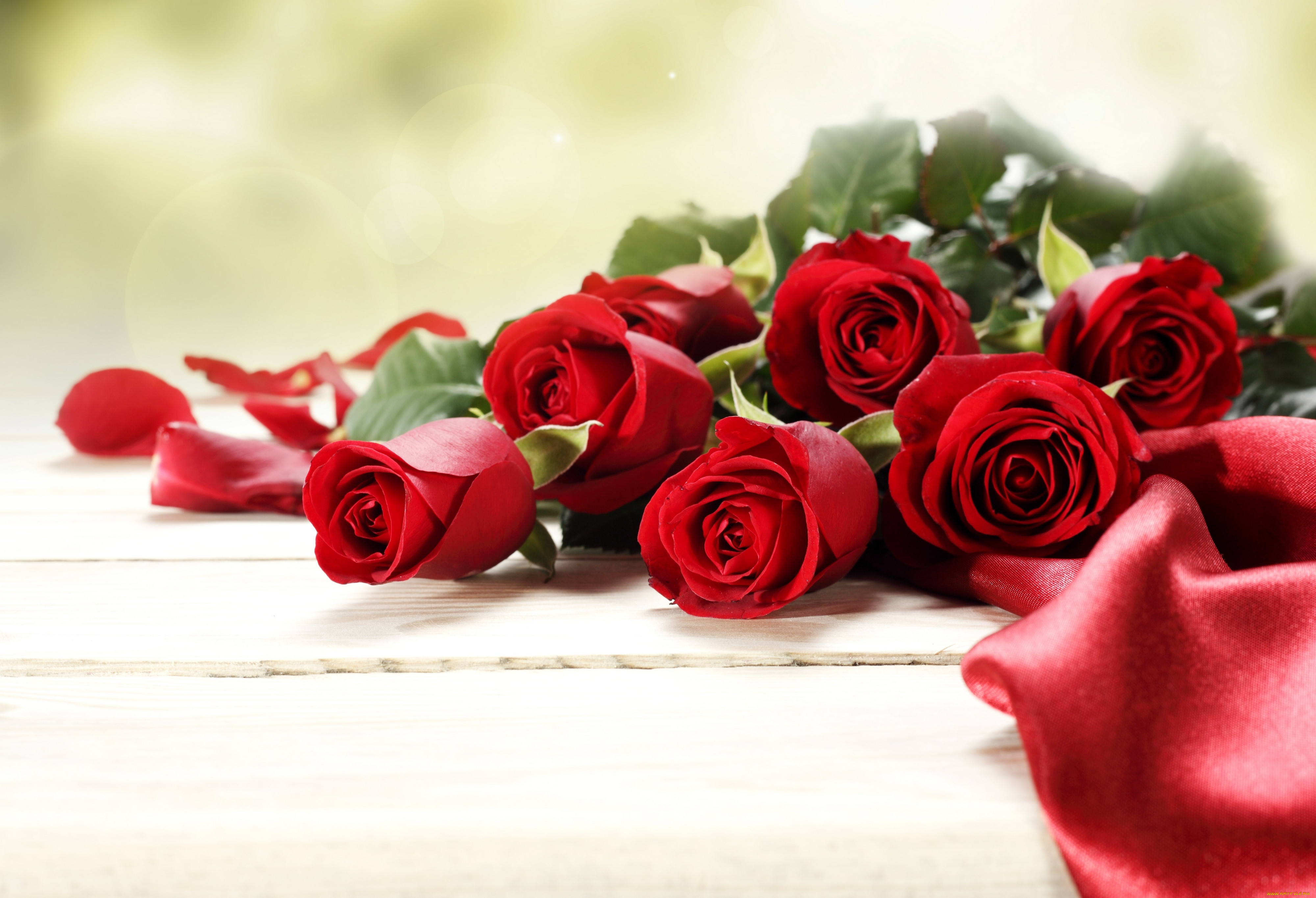 , , , , , , , background, atlas, flowers, roses, flower, buds, foliage, bouquet